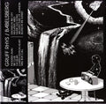 Gruff Rhys : Babelsberg (CD, Album)