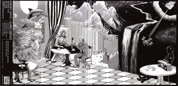 Gruff Rhys : Babelsberg (CD, Album)