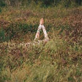 Vérité (2) : New Skin (LP, Album, Ltd, Bab)