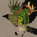 Various : @0 (CD, Comp, Mixed)