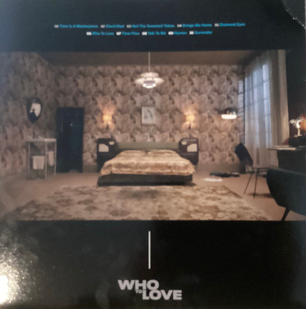 The Time Experience Project, David A. Stewart & Mokadelic : Who To Love (LP, Album)