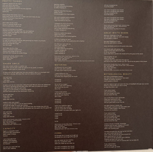 Big Thief : Capacity (LP, Album, RE)