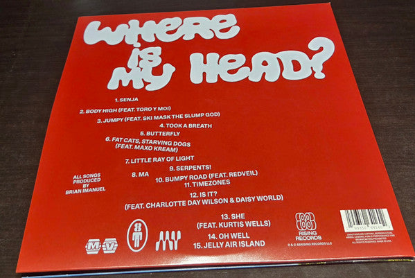 Rich Brian : Where Is My Head? (2xLP, Cry)