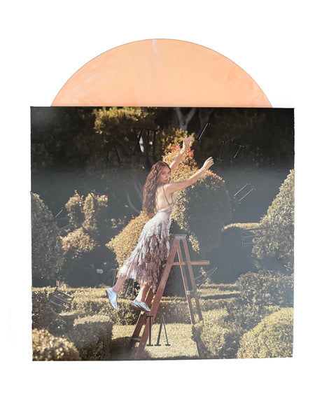 Laufey (2) : A Matter Of Time: The Final Hour (2xLP, Album, Dlx, Dre)