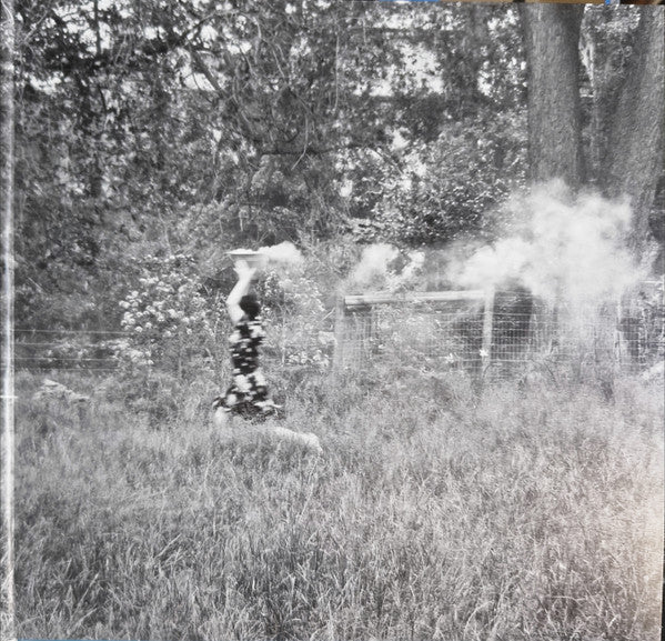 Aldous Harding : Train On The Island (LP, Album, Ltd, Blu)