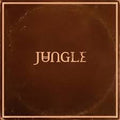 Jungle (12) : Sunshine (LP, Album, Des)
