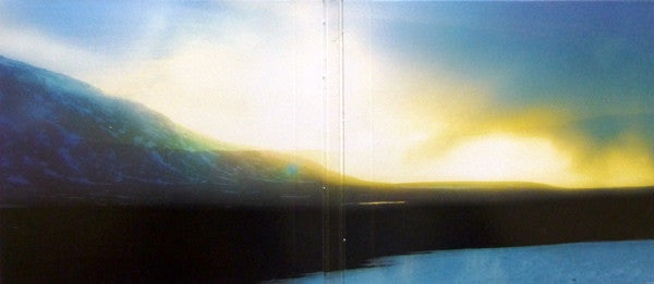 Maps : Vicissitude (CD, Album, Dig)