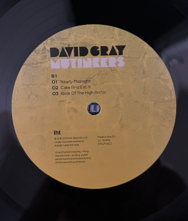 David Gray : Mutineers (2xLP, Album)