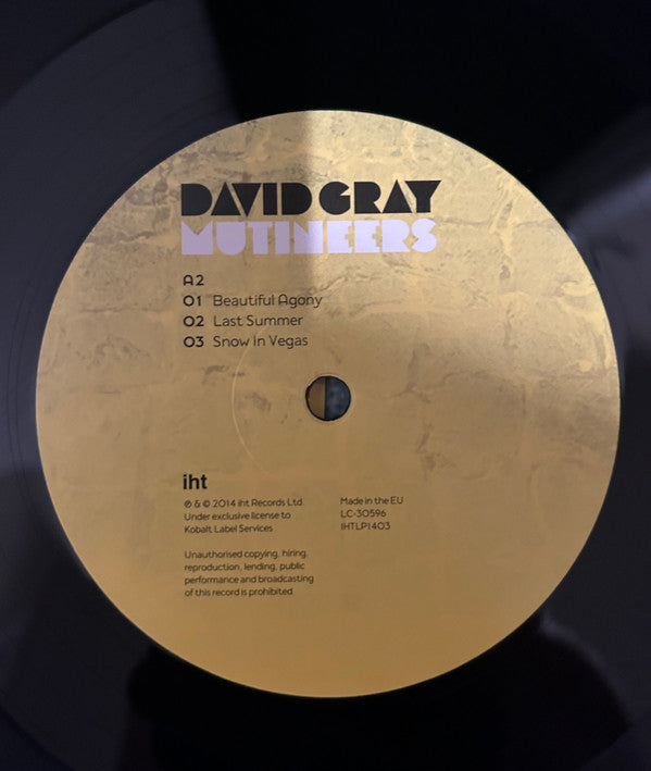 David Gray : Mutineers (2xLP, Album)