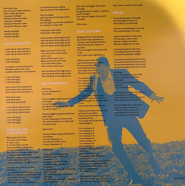 David Gray : Mutineers (2xLP, Album)