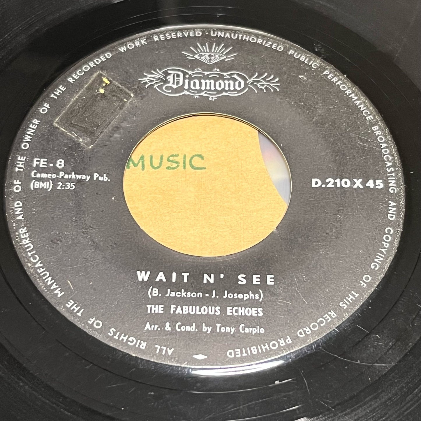 The Fabulous Echoes - Wait N' See / For You - Five Flags Records